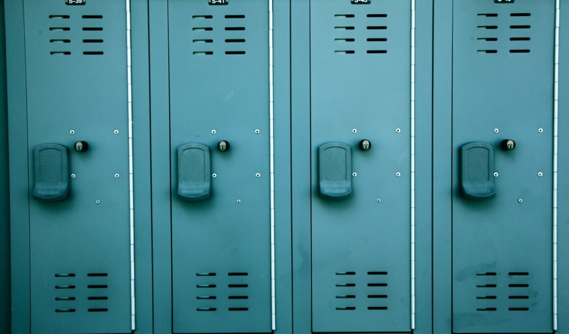 Jak wybrać szafki uczniowskie, aby poprawić komfort codziennego funkcjonowania szkoły